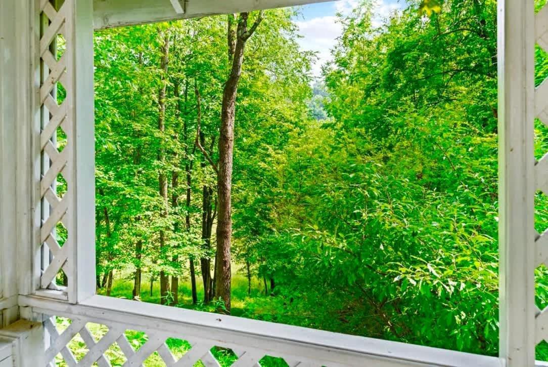 Gated Mansion - Basketball Court Movie Theater Views Villa Big Stone Gap Exterior photo